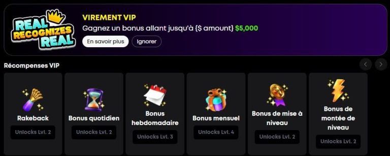 BetHog Casino programme VIP